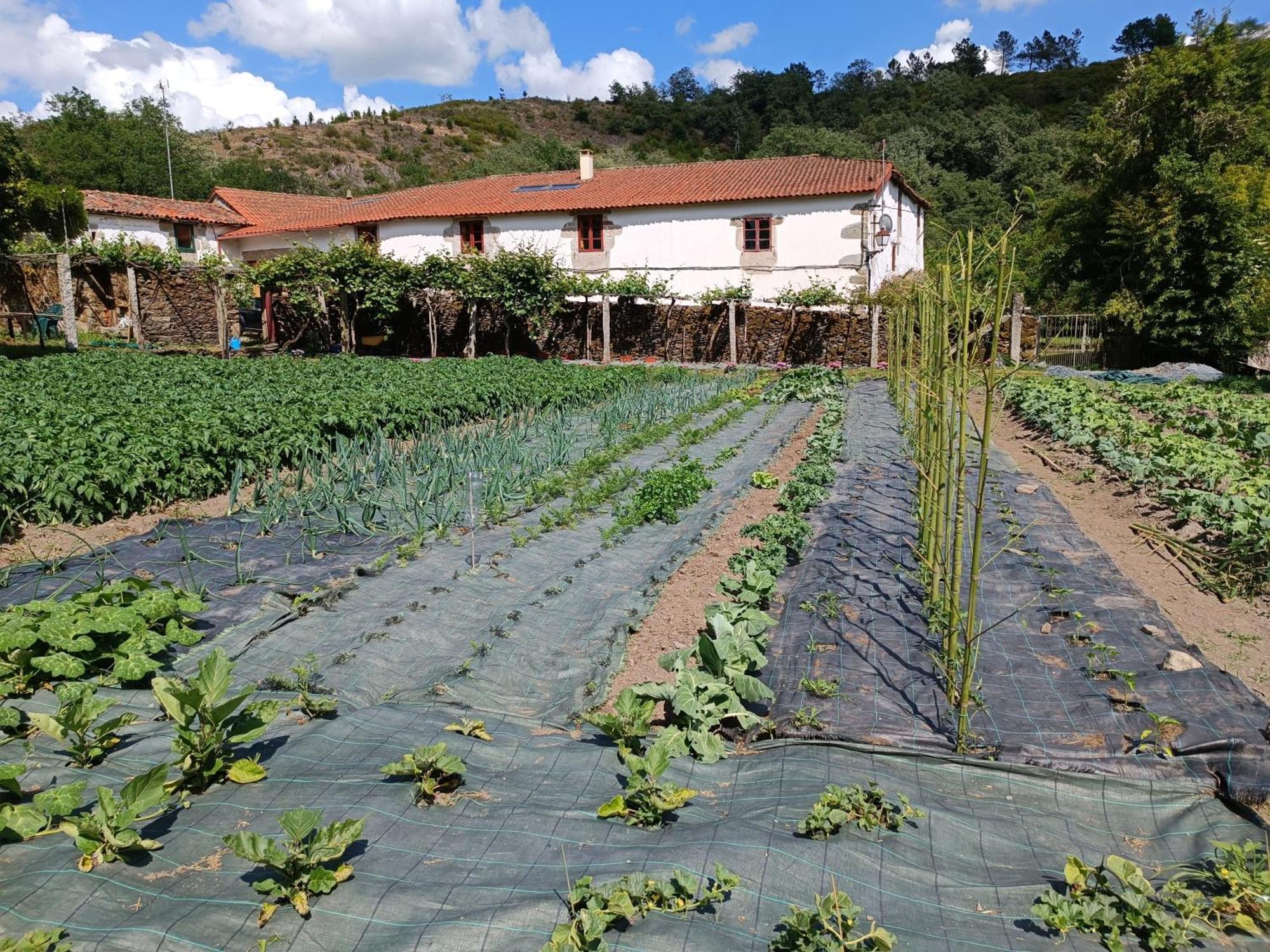 Casa Grande De Covas-Apartamentos Turisticos Taboada Bagian luar foto