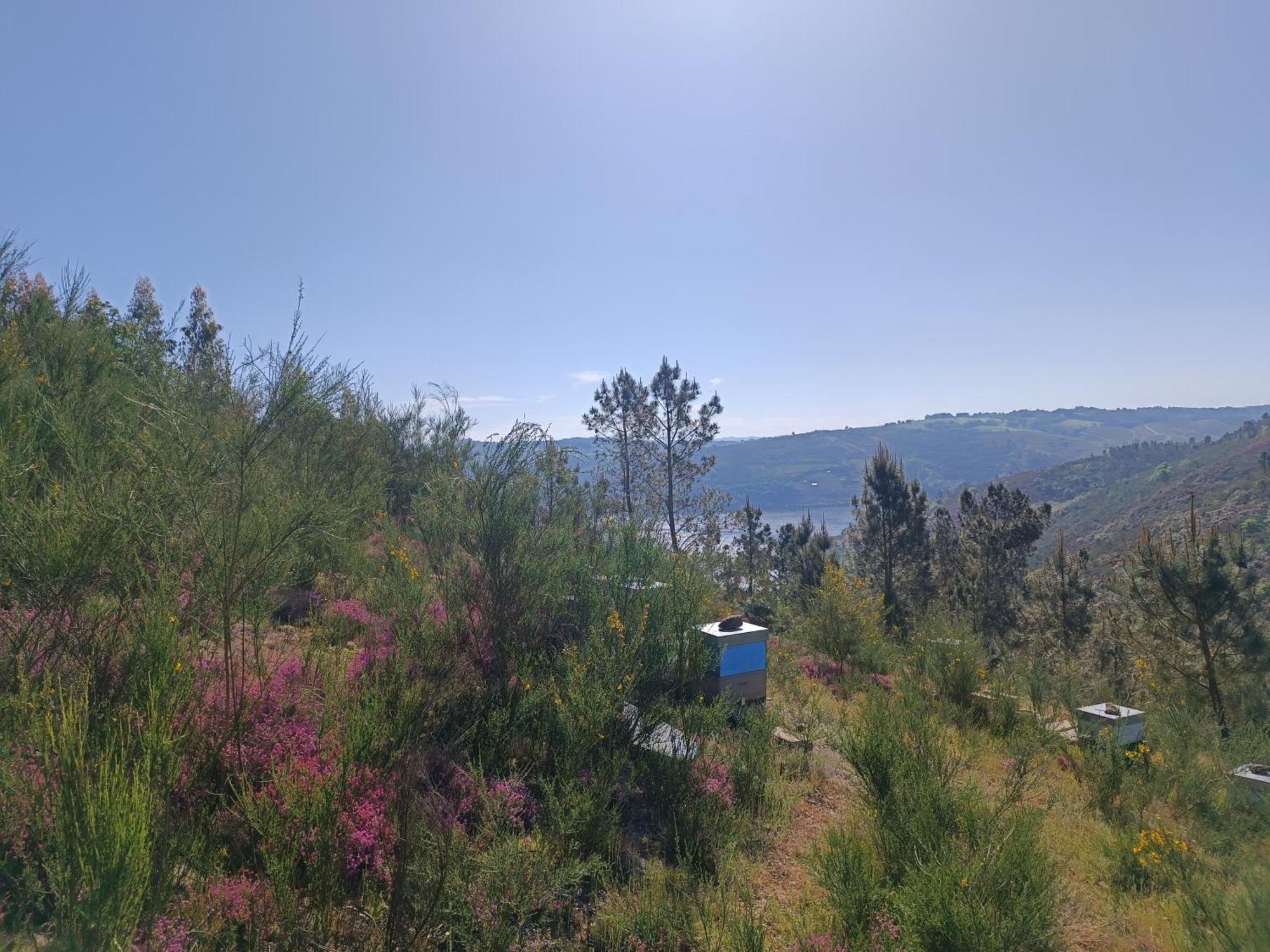 Casa Grande De Covas-Apartamentos Turisticos Taboada Bagian luar foto